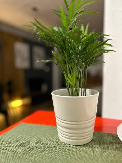 Loft Centro Santander Apartment ภายนอก รูปภาพ